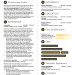 Sample Nursing Resume Image sample nursing resume|wikiresume.com