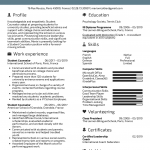 School Counselor Resume Image school counselor resume|wikiresume.com
