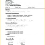 Simple Resume Format Resume Format Normal Download Sample Simple For Job simple resume format|wikiresume.com