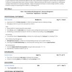 Simple Resume Template Simple Black simple resume template|wikiresume.com