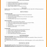 Skills Based Resume 4 Skill Based Resume Template Word Janitor Resume skills based resume|wikiresume.com
