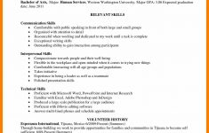 Skills Based Resume 4 Skill Based Resume Template Word Janitor Resume skills based resume|wikiresume.com