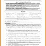 Skills Based Resume Example Resume Format Job Valid Examples Bookkeeping Spreadsheets With Skills Based Resume Of Example Resume Format Job skills based resume|wikiresume.com