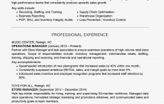 Skills Based Resume Skills Resume Template 2063582v1 Pdf Cv Examples Based Microsoft skills based resume|wikiresume.com