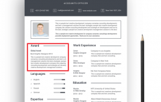 Skills Based Resume Writing Resume 2 skills based resume|wikiresume.com