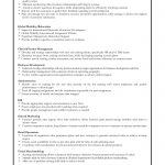 Skills For A Resume Resume Skills Functional Resume 1 skills for a resume|wikiresume.com