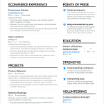 Skills On A Resume Ecommerce Resume skills on a resume|wikiresume.com