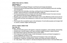 Social Media Resume Social Media Director Resume Sample social media resume|wikiresume.com