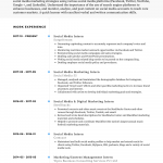 Social Media Resume Social Media Intern Cv Examples Air social media resume|wikiresume.com