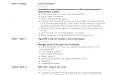 Social Media Resume Social Media Intern Cv Examples Monaco social media resume|wikiresume.com