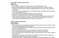Social Media Resume Social Media Strategist Resume Sample social media resume|wikiresume.com