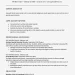 Social Work Resume 2063272v1 5c0549a046e0fb0001e232e8 social work resume|wikiresume.com