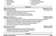 Social Work Resume Adoptions Social Worker Social Services Professional 1 social work resume|wikiresume.com