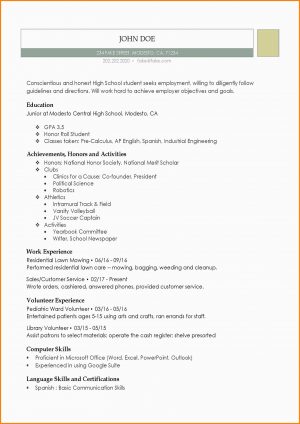 Student Resume Template 22 Incredible High School Student Resume Template