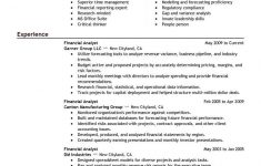 Summary For Resume Analyst Finance Emphasis 3 summary for resume|wikiresume.com