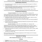 Summary For Resume Executive Assistant summary for resume|wikiresume.com