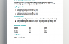 Summary For Resume One Page Career Summary summary for resume|wikiresume.com
