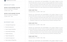 Template For Resume Templatesr Resumes Professional Download Free template for resume|wikiresume.com