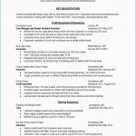 Two Page Resume Examples Of Page Resumes Gallery Resume Headings Header Beautiful Example Pageume Professional Why They Work Tips Two two page resume|wikiresume.com
