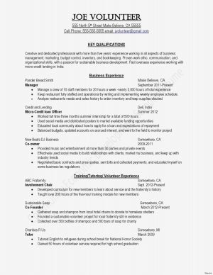 Unique Resume Ideas Sample Resume For Va Jobs New Basic Job Resume Templates Unique