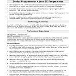 Work Experience Resume Computer Programmer Experienced work experience resume|wikiresume.com