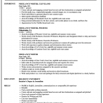 Work Experience Resume Freelance Writer Resume Example work experience resume|wikiresume.com