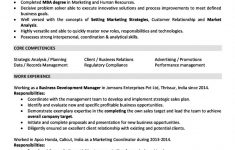 Work Experience Resume Sales And Marketing Resume 2 Years Experience Page 1 791x1024 work experience resume|wikiresume.com