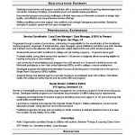 Work Experience Resume Social Worker work experience resume|wikiresume.com